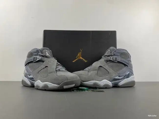 Reps TBK Jordan Retro Cool Grey 8 305381-014 0524